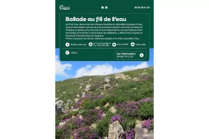 Balade au fil de l'eau