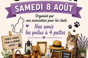 Vide-grenier