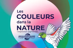 Les couleurs dans la nature