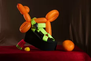 Atelier initiation : L’équilibre des choses