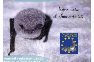 Les estivales de la nature : Trame noire et chauves-souris