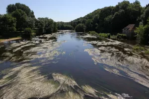 Trésors de rivière