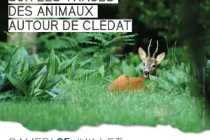 Les Pastorales de Clédat : Sur les traces des animaux autour de Clédat