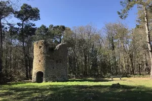 Donjon et moulin de Pirou