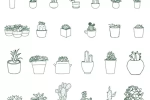Troc aux plantes