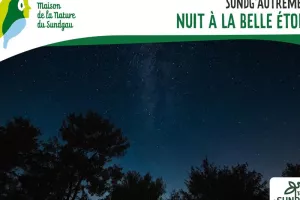 Nuit à la belle étoile