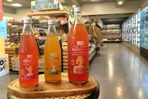Dégustation de kombucha et kéfir
