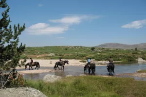 TROIS JOURS A CHEVAL SUR LE MONT LOZERE