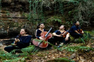 Concert I Akilone
