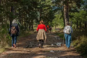 Sortie avec le Club Vosgien du Kochersberg : Forêt alluviale de Freistett