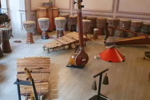 Stage découverte