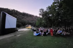 Cinéma en plein air