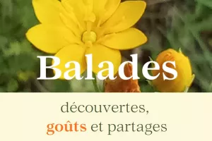 Les balades botaniques avec Vivent les herbes sauvages au Domaine les Hauts de Riquets