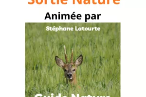 Sortie nature