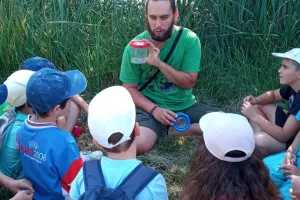 Découverte des petites bêtes des Tourbières