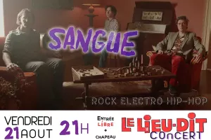 Concert de Rock Electro Hip-Hop