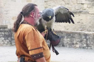 Spectacle des sabots et des ailes