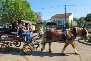 Visite guidée en calèche