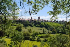 Balade et Dégustation dans les vignes