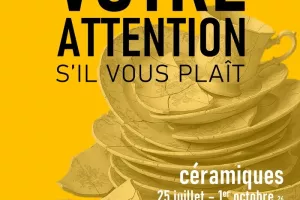 Votre Attention S'il Vous Plaît