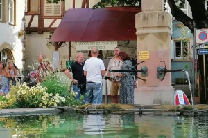 Festival des vins