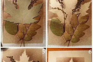 Atelier du samedi - Herbier en empreintes