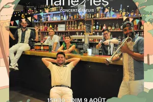 Les Flâneries - Chanson française - Musique latino-caribéenne