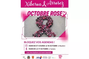 Octobre rose : marche au profit de la lutte contre le cancer du sein