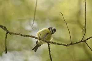 A la découverte de la faune à l'Union