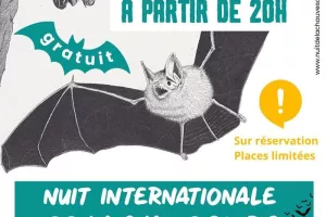 Nuit Internationale de la Chauve-Souris à Bellicourt