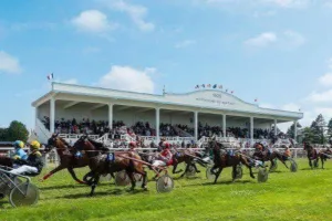 Courses hippiques : trot attelé