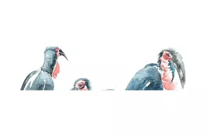 Stage aquarelle sur le vif