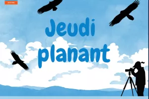 JEUDI PLANANT