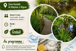 Animation Nature : Les secrets de l'eau, comprendre, préserver et agir