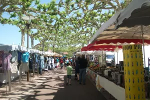 Marché saisonnier