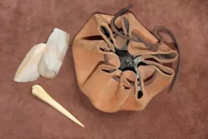 Atelier "Artisanat du cuir néo" en famille - dès 7 ans