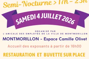 Vide grenier semi-nocturne