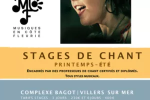Stage d'été
