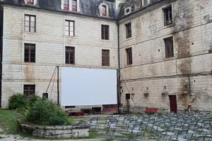 Cinéma en plein air : Des minions et des monstres