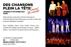 Concert - Des Chansons Plein la Tête