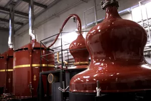 Visite de la Distillerie Brana et dégustation