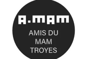 Conférence "Les avant-gardes dans les musées ou dans les collections des musées européens""