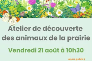 Atelier découverte de la microfaune de la prairie