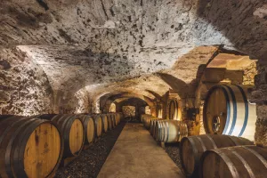Portes ouvertes et dégustation insolite au Château des Bormettes