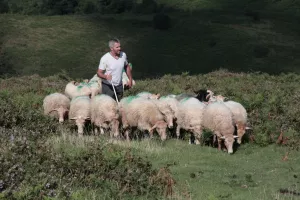 Une rencontre avec un berger au sommet du Baigura.