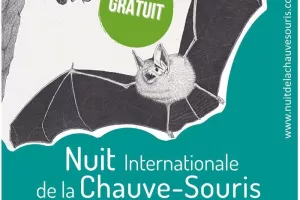 Les chauves-souris du Tranger