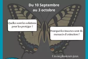 Exposition Mission Insectes