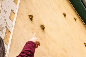 Curieuse balade : un patrimoine à préserver
