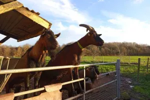 Visite de la ferme du Bois Nozay