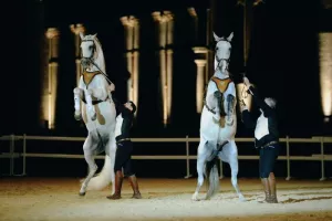 Carte blanche à la Companie Hasta-Luego - Haras National d'Hennebont